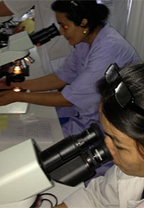 Laboratory technicians receive training in helminth identification